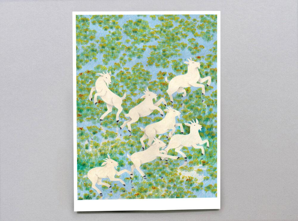 liekeland Limited edition | Bokkesprong