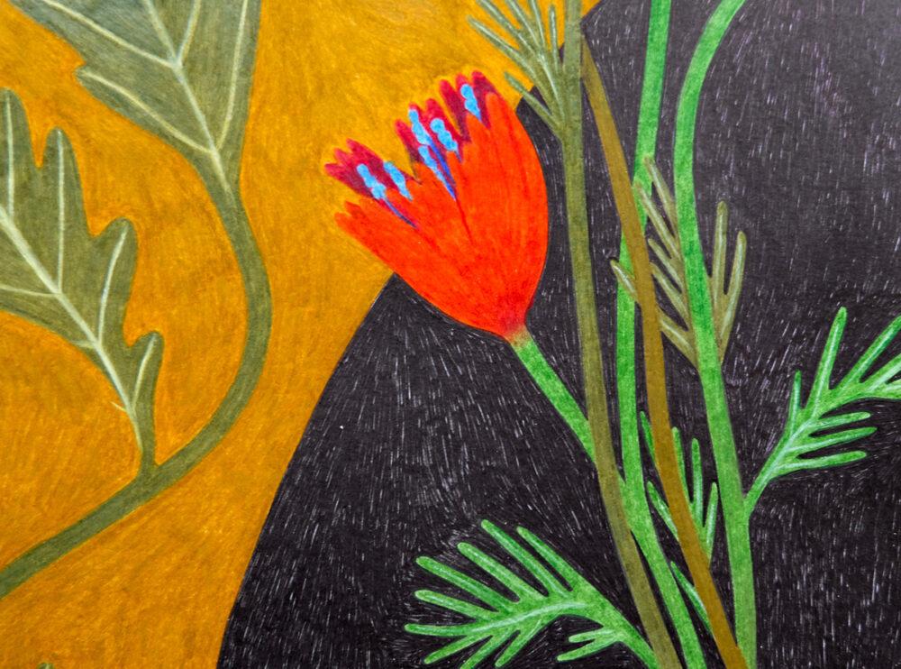 Liekeland Limited Edition | Tapijthond