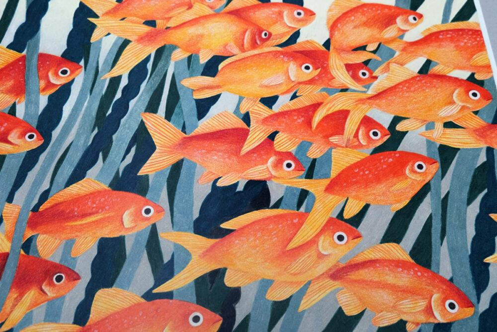 Liekeland Original | Gouden Vissen