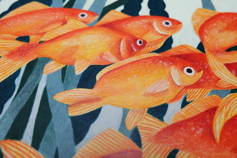 Liekeland Original | Gouden Vissen