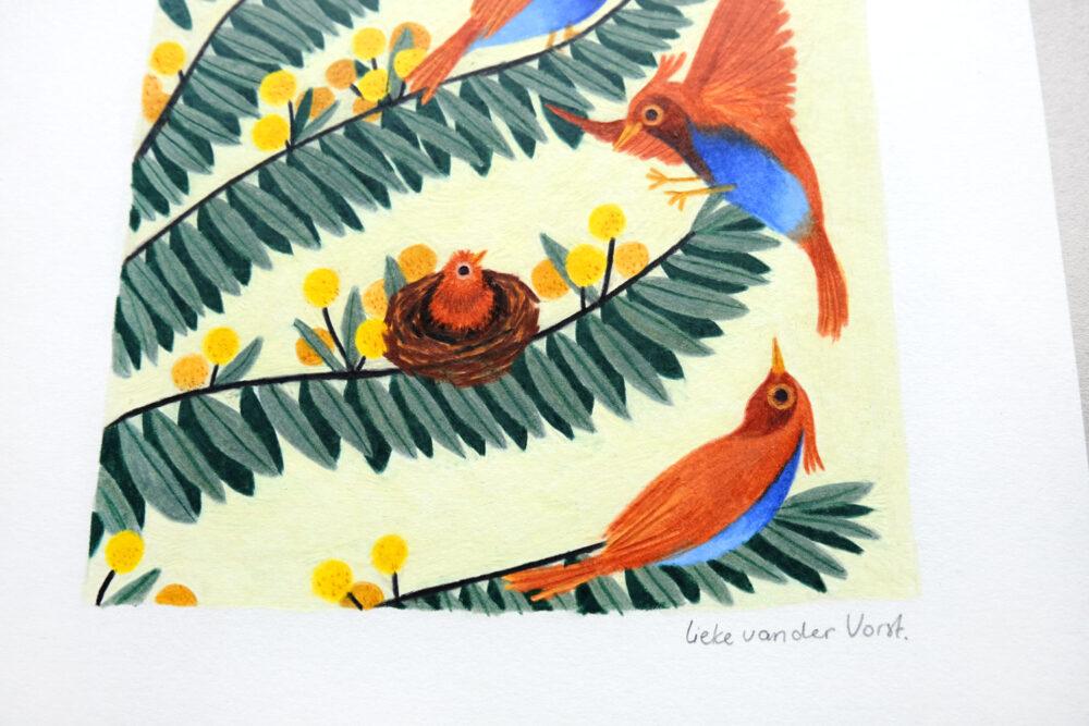 Liekeland Original | Vogels