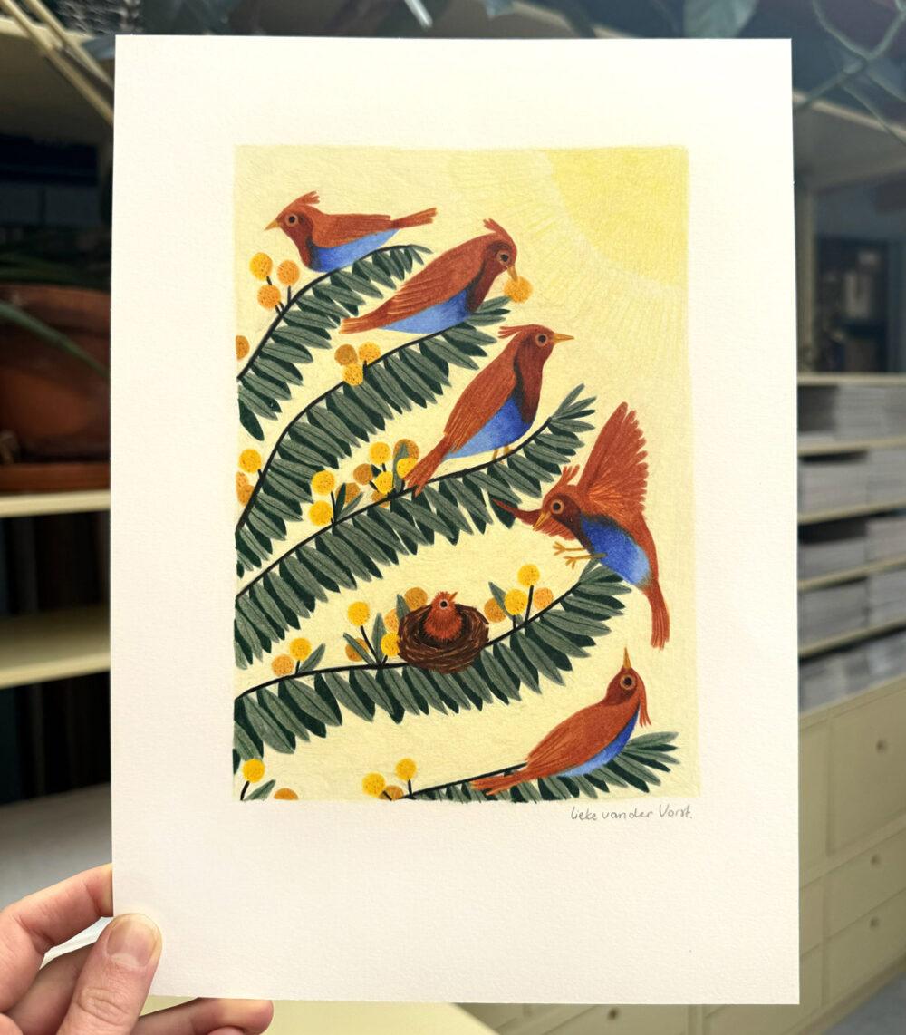 Liekeland Original | Vogels