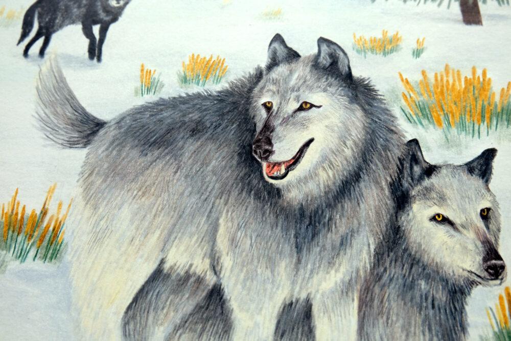 Liekeland Original | Wolven