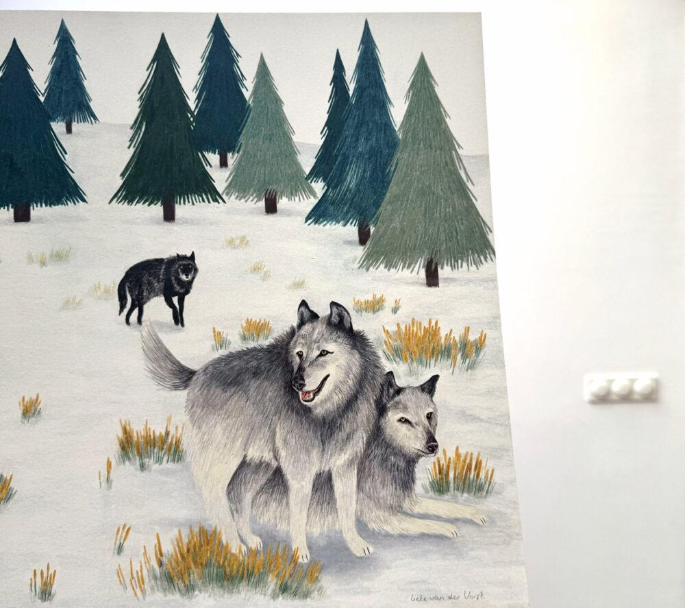 Liekeland Original | Wolven