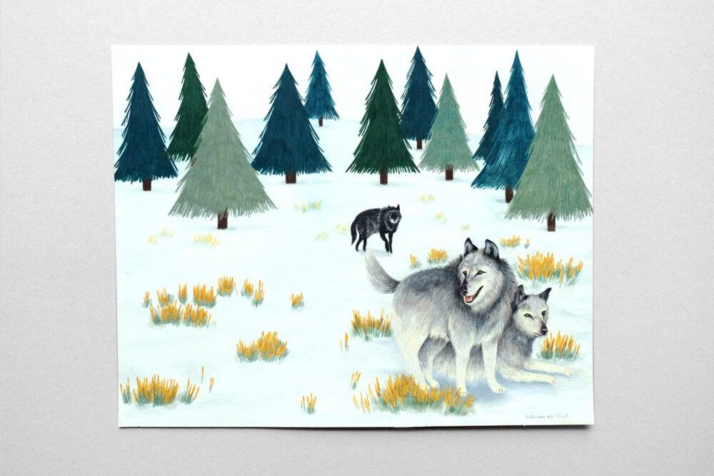 liekeland Original | Wolven