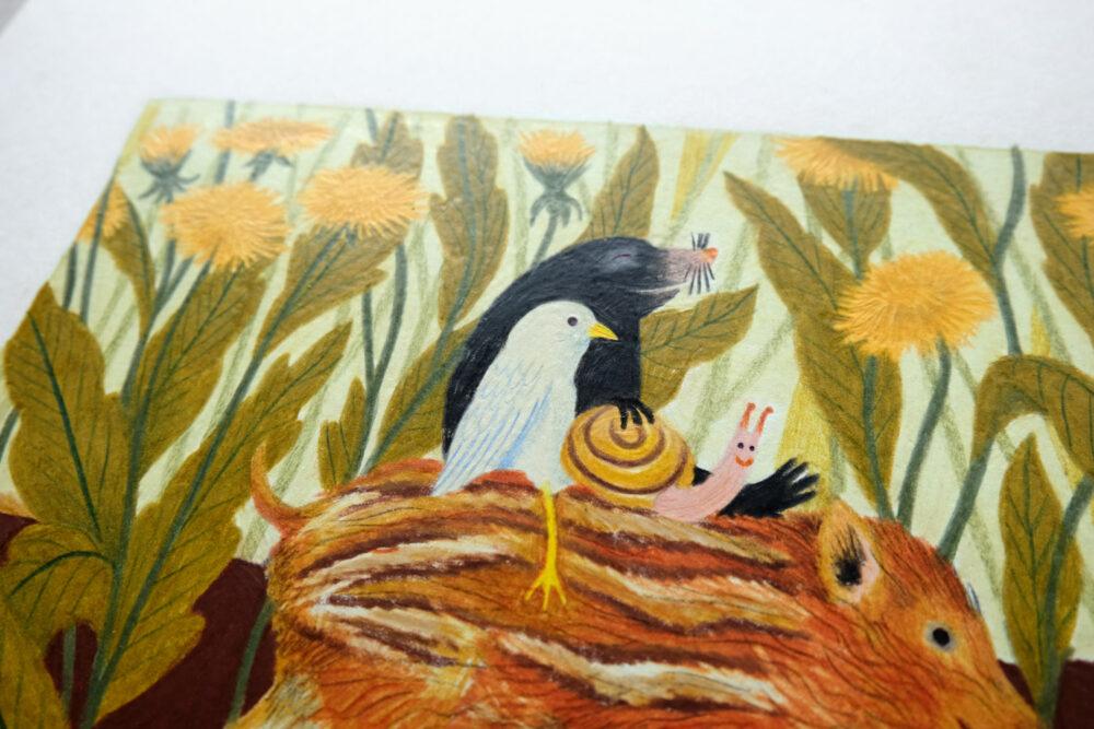 Liekeland Original | Zwijntje