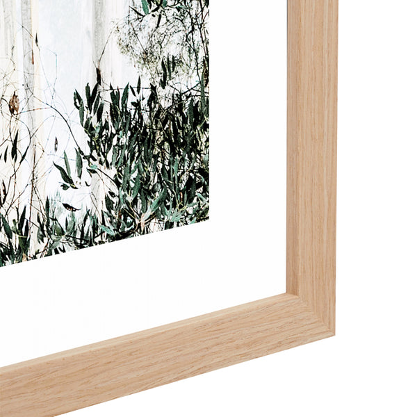 Life Interiors Bushland Art Print