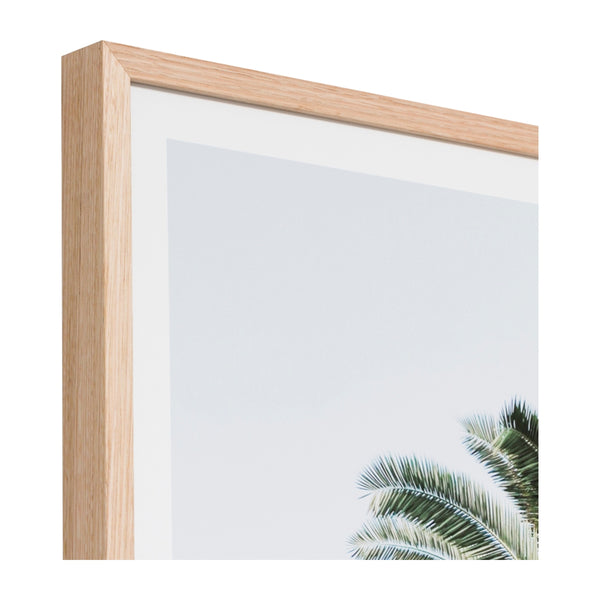 Life Interiors Caribbean Palm Colour Print