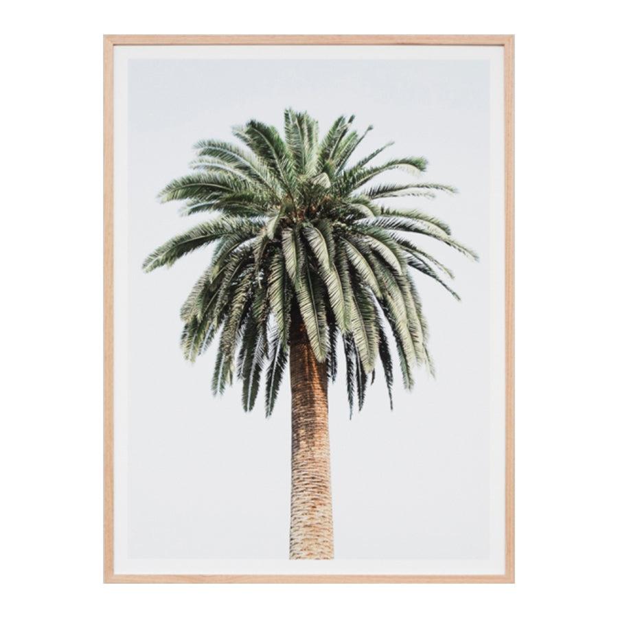 life interiors Caribbean Palm Colour Print