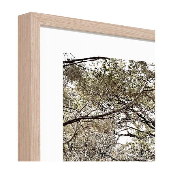 Life Interiors Eucalyptus Track Print