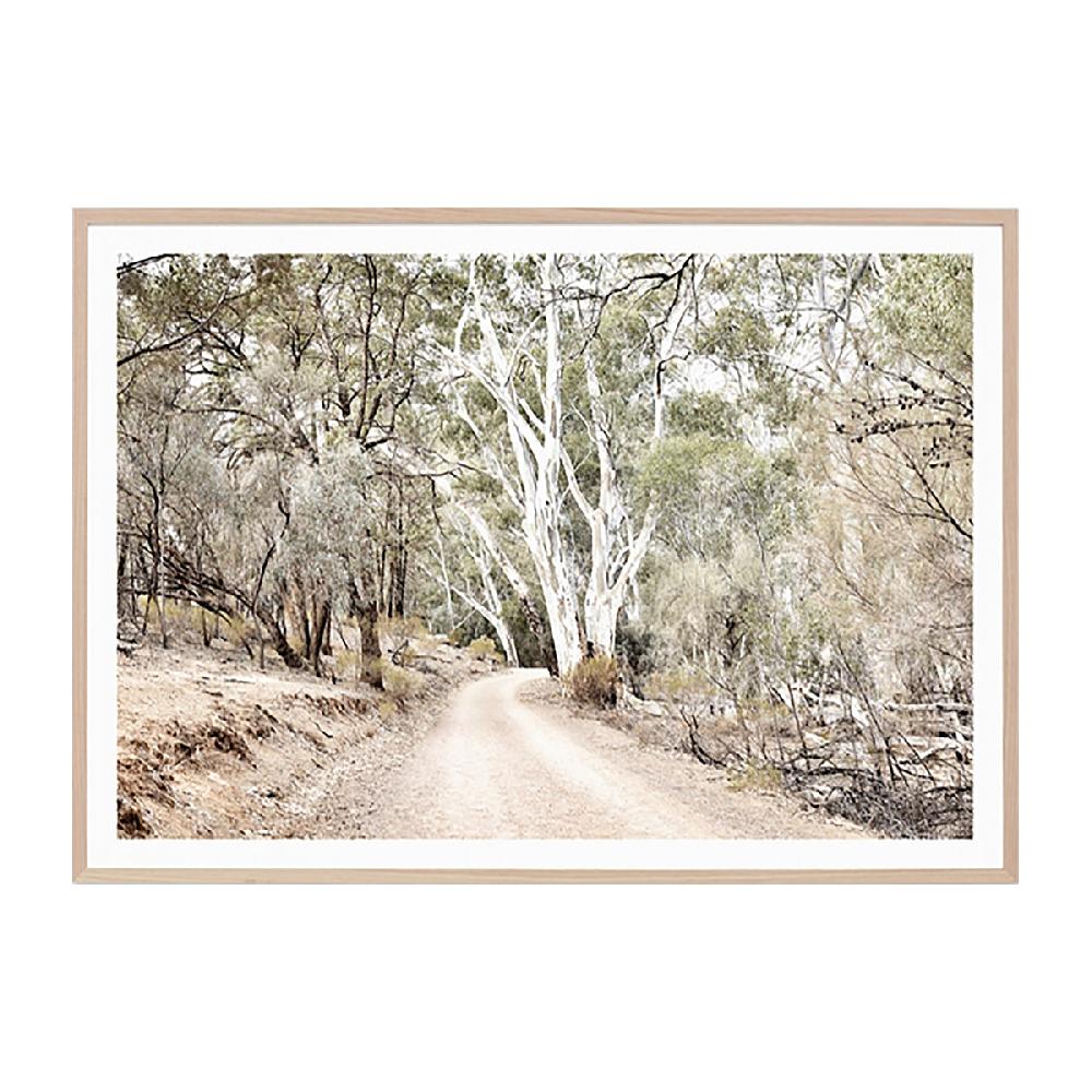 life interiors Eucalyptus Track Print