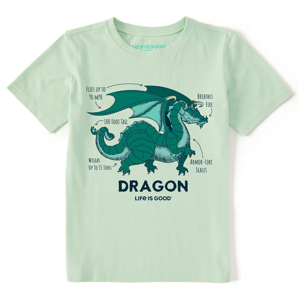 Life Is Good Kids Dragon Facts Short Sleeve Crusher Tee