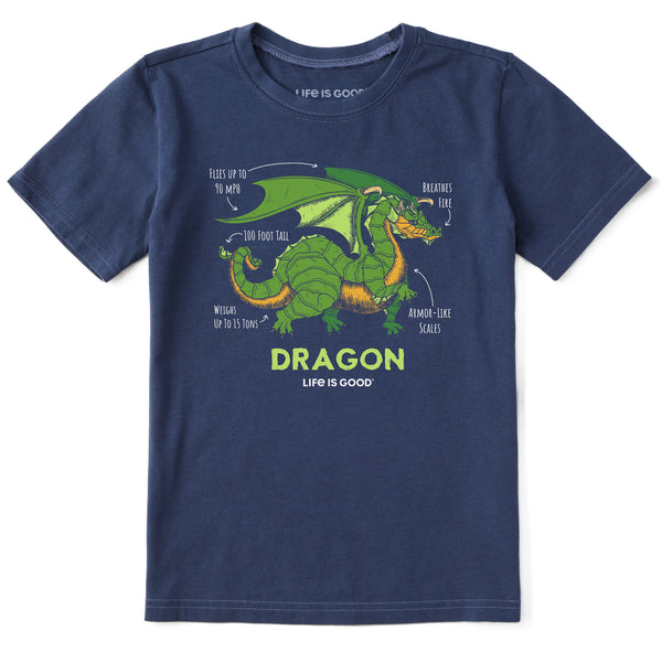 life is good Kids Dragon Facts Short Sleeve Crusher Tee