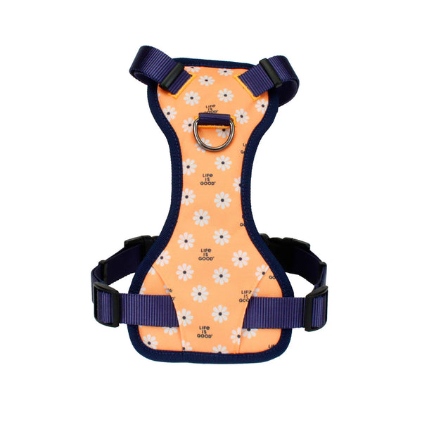 life is good Daisy Canvas Overlay Dog Harness