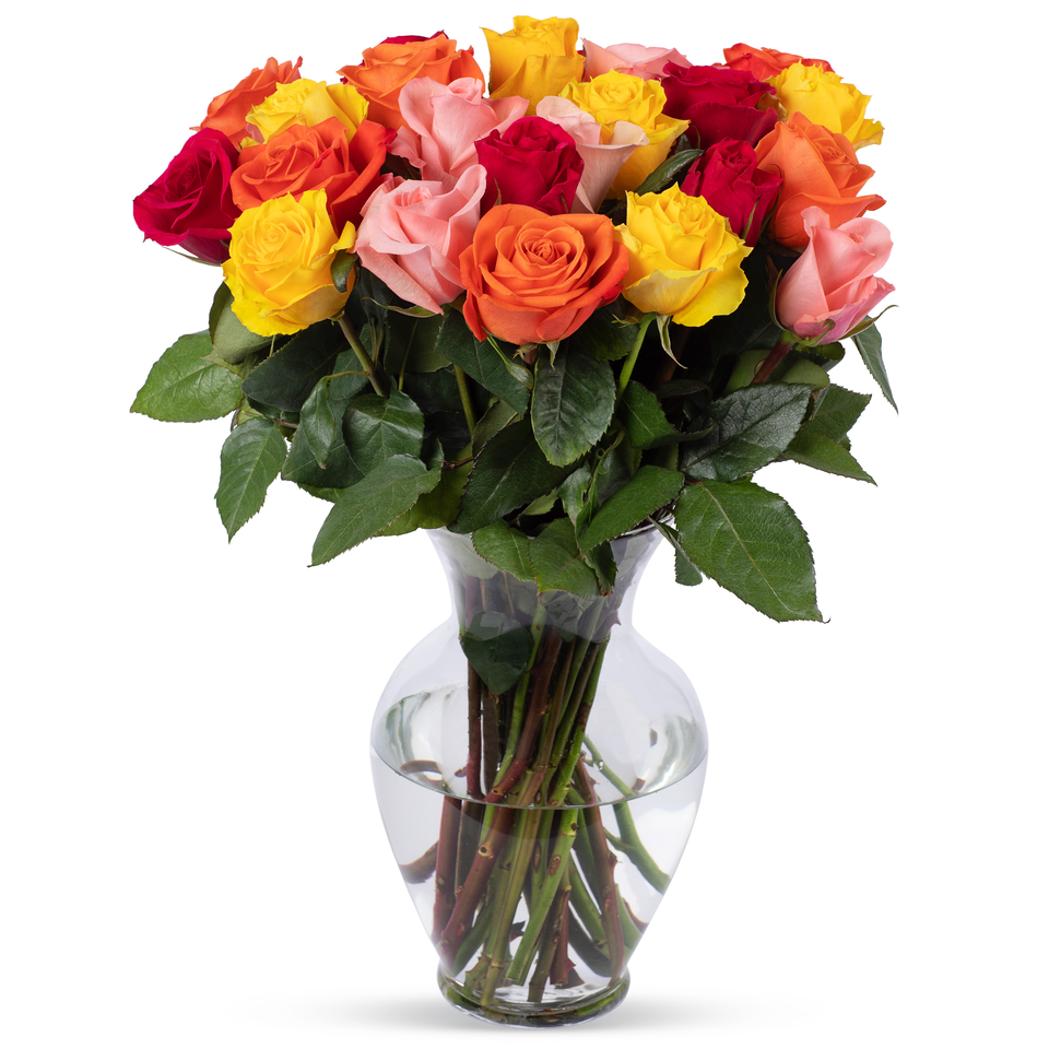life is good Life is Good Red Roses with Vase