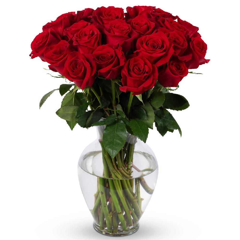 life is good Life is Good Roses with Vase