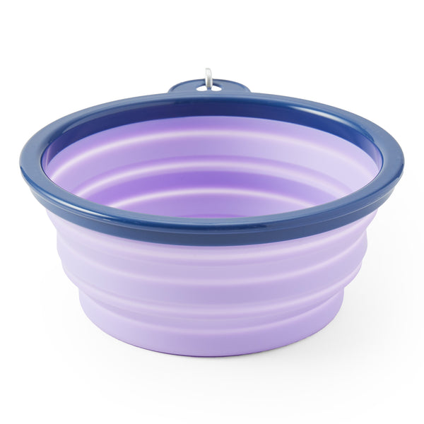 Life Is Good LIG Daisy Silicone Travel Dog Bowl