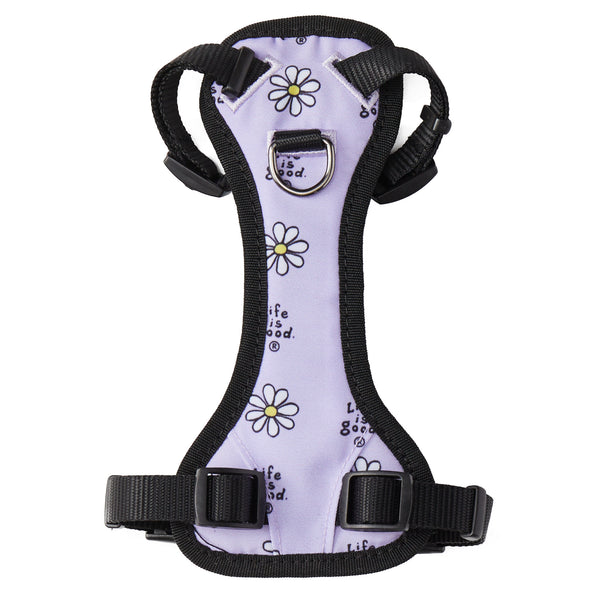 life is good Vintage Daisy Canvas Overlay Dog Harness