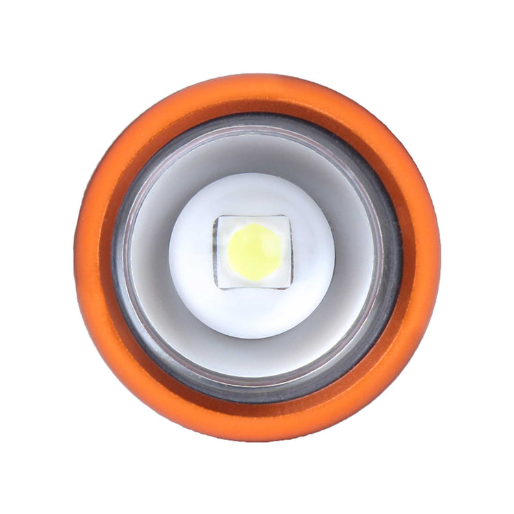 Lifesystems Intensity 480 LED Hand Torch