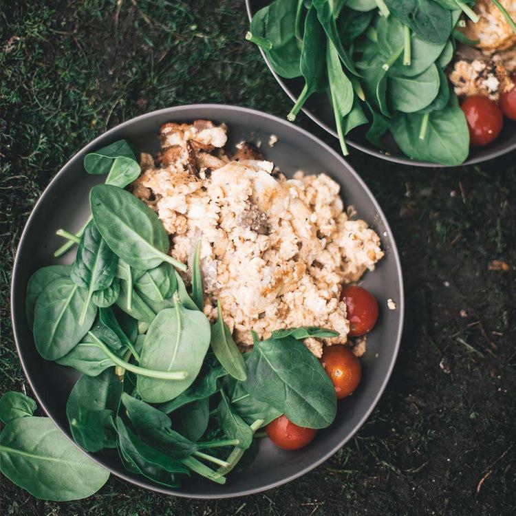 Lifesystems Titanium Plate