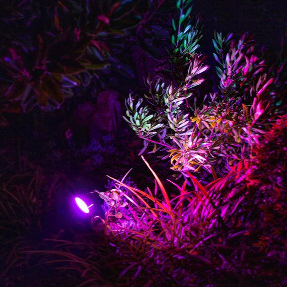 Lifx Outdoor Spot Lights