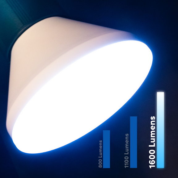 Lifx PAR38 Flood Light