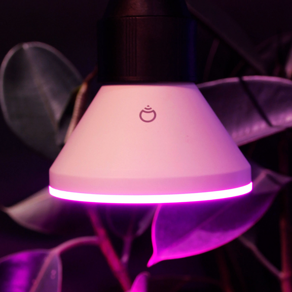 Lifx PAR38 Flood Light