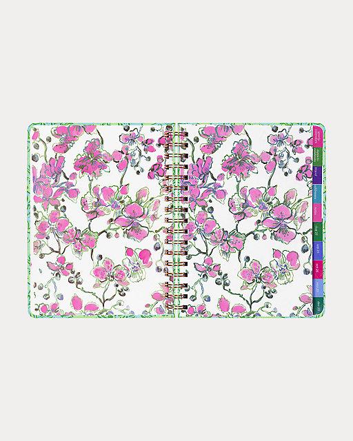 Lilly Pulitzer 2025-2026 17 Month Large Agenda Cool Mint Catchin Rays