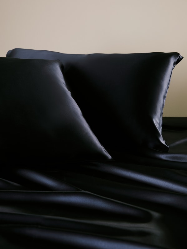 Lilysilk 19 Momme Terse Envelope Silk Pillowcase