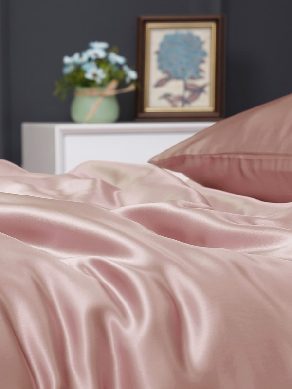 Lilysilk 22 Momme Seamless Silk Duvet Cover