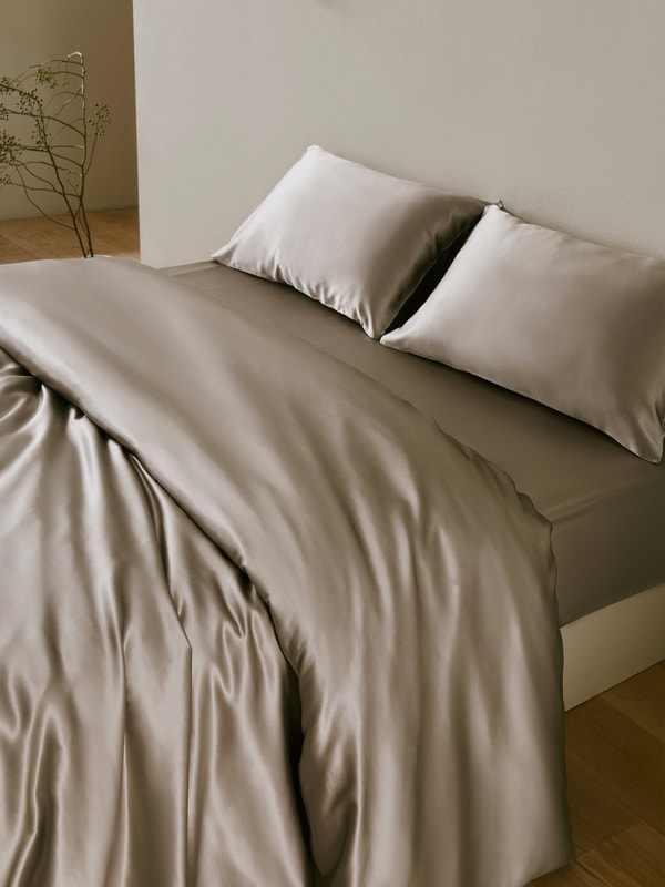 Lilysilk 25 Momme Terse Envelope Luxury Pillowcase