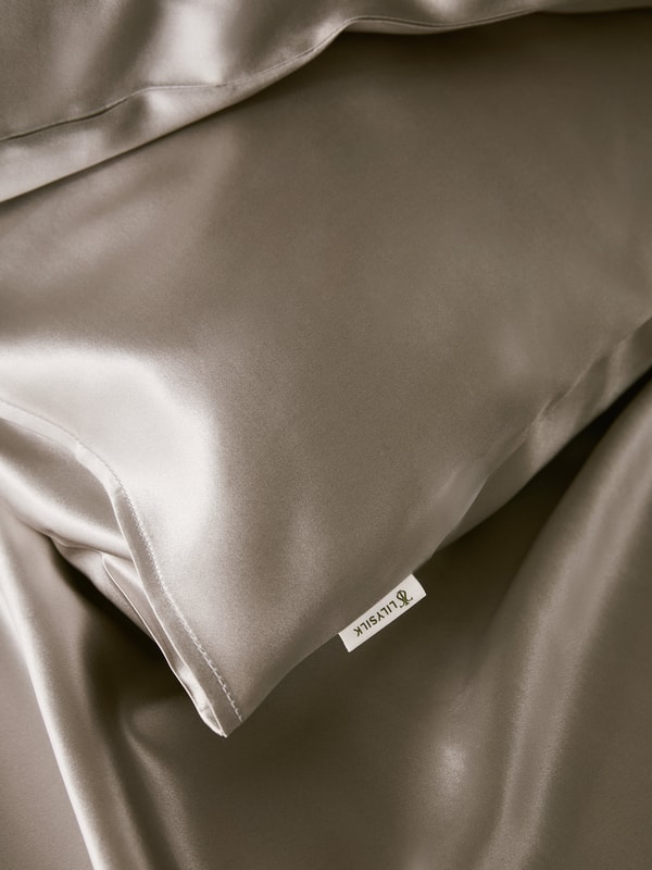 Lilysilk 25 Momme Terse Envelope Luxury Pillowcase
