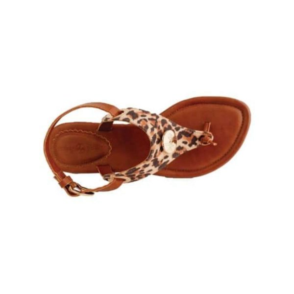 Lindsay Phillips Callie Leopard