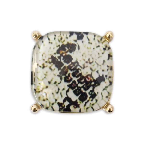 lindsay phillips Julianna Snap