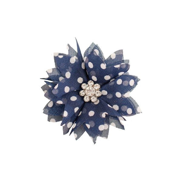 lindsay phillips Lily Snap