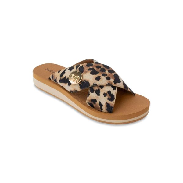 lindsay phillips Lotus Leopard