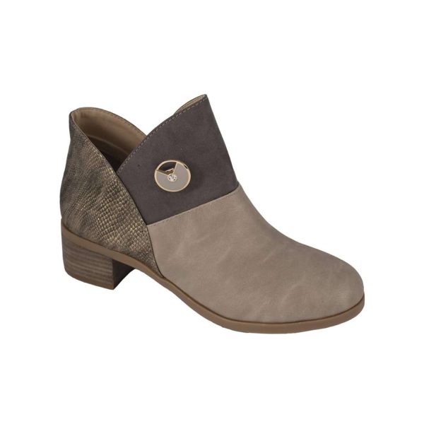 lindsay phillips Shandon