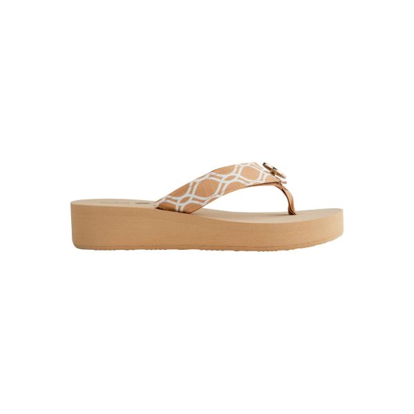 Lindsay Phillips Taylor-Tu Tan