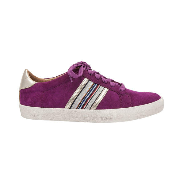 Linea Paolo KYSON | Striped Fashion Sneakers Purple Suede/Gold Leather