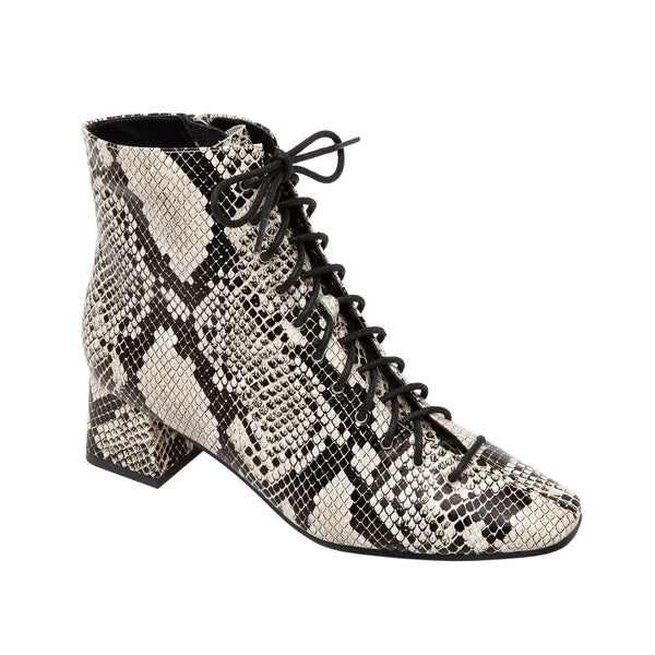 linea paolo SANYA | Square Toe Lace-Up Leather Bootie Cream/Black Snake Print Leather