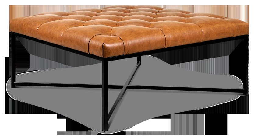 linea paolo Libby Collection