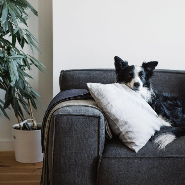 Linen Tales Light Grey Linen Cushion Cover