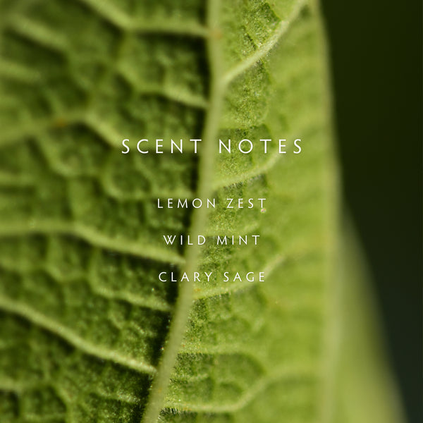 Linnea Crushed Mint Candle - New Fan Favorite Made Small Batches