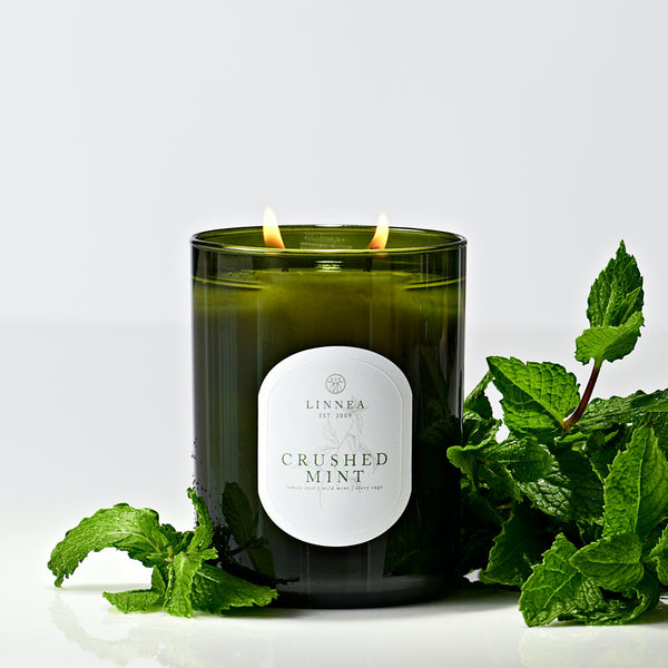 Linnea Crushed Mint Candle - New Fan Favorite Made Small Batches