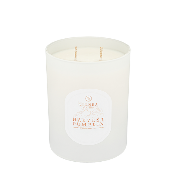 linnea Harvest Pumpkin Candle - #1 Best-selling Fall Candle Scent