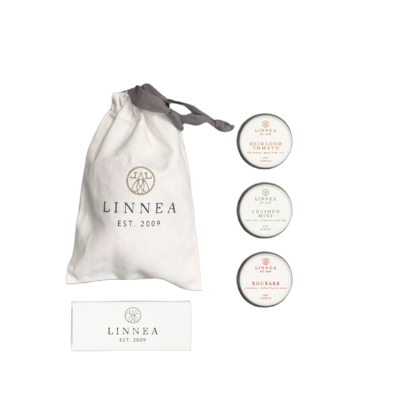linnea BOTANIK DISCOVERY SET