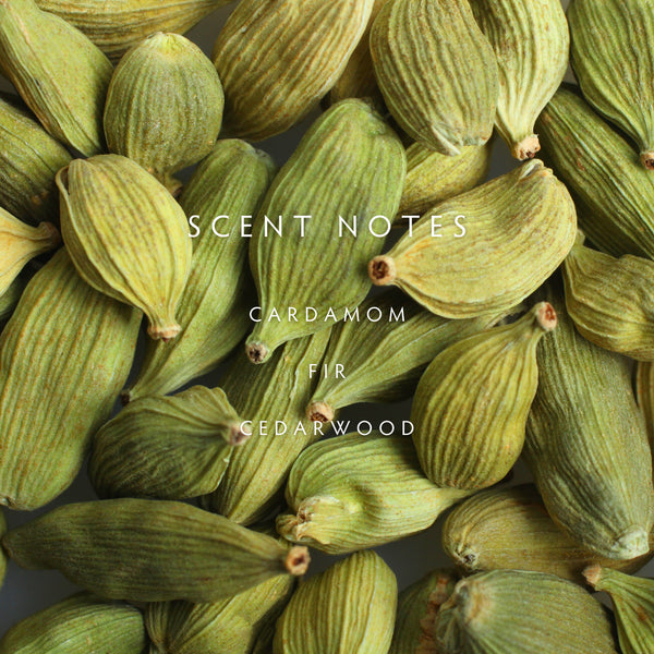 Linnea CEDAR CARDAMOM