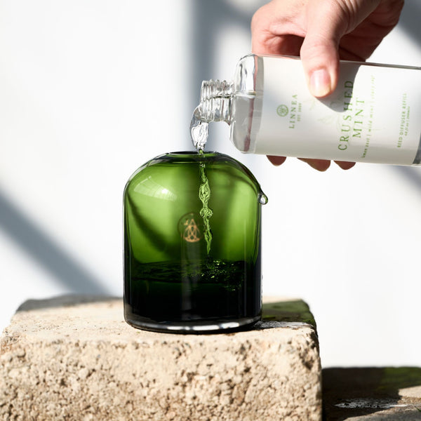 Linnea Crushed Mint Reed Diffuser Kit