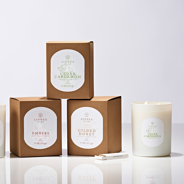 linnea Fall's Golden Light Bundle