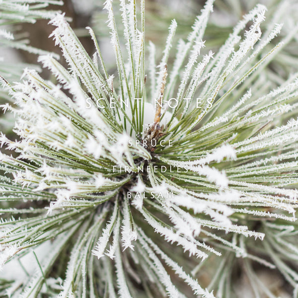 Linnea FOREST FIR Reed Diffuser Kit